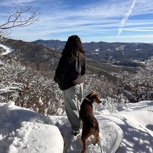 Meet your Posher, Nim